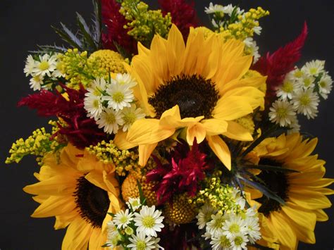 The month kept its original name from the roman calendar where it was the seventh month. florissimo: September 2011