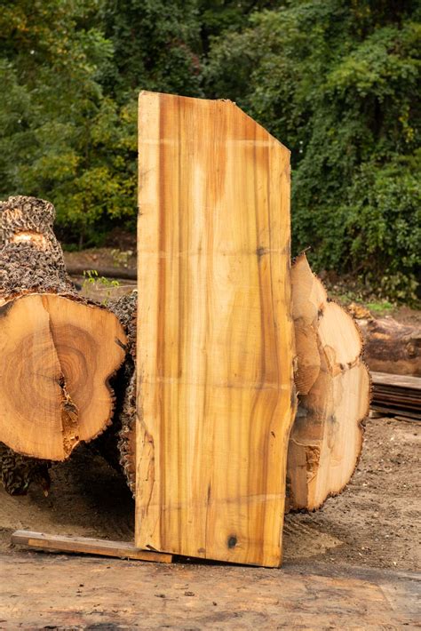 Poplar Live Edge Wood Slab Many Sizes Available Pricing 500 1000