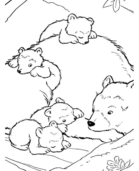 It is liked not by kids only but buy parents too. American Black Bear Coloring Page - Coloring Home
