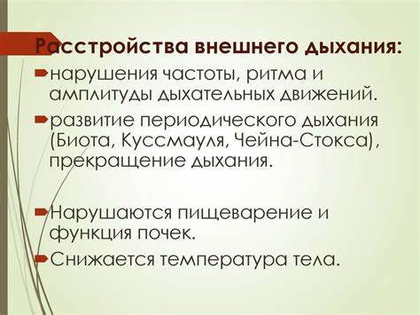 Гипоксия (кислородное голодание) - презентация онлайн Картинка - Гипоксия (кислородное голодание) - презентация онлайн