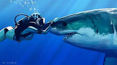 Shark Diver 4k 1080p Wallpapers 2k