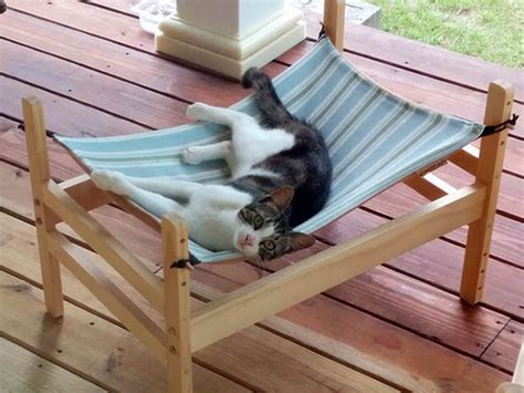 Designed with the most active cats in mind, this large cat tree furniture is ideal for multiple cat households. How to Make a Cat Hammock | Your Projects@OBN