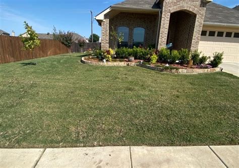 Arlington Tx Lawn Care Service Lawn Mowing From 19 Best Of 2023
