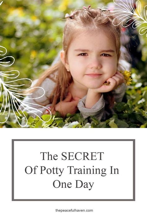 How to Potty Train in One Day - The Peaceful Haven in 2020 ...