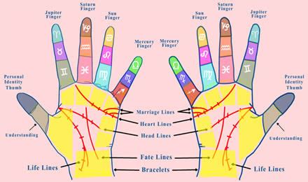 Plus, you already have all the tools you need to explore this magical discipline—two, actually! how to read palms lines with pictures | www.askthespirit.com