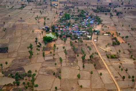 Small Village Surrounded By Dry Harvested Rice Fields Cambodia Aerial