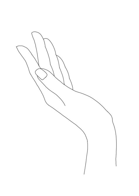 Womens Hand Linear Line Drawing Minimal Illustration By The Colour