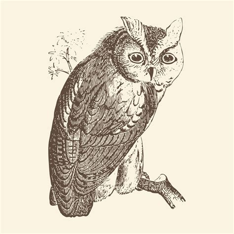 Vintage Halloween Owl Clip Art