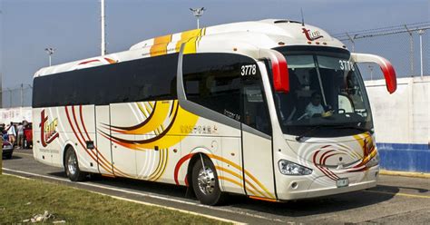 Maxibuses Transportes TurÍsticos Del BajÍo Ttur