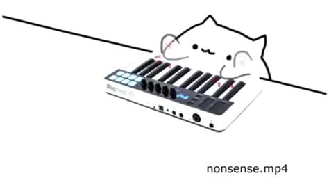 Funny Bongo Cat Memes Compilation And Sans Coub The Biggest Video Meme Platform