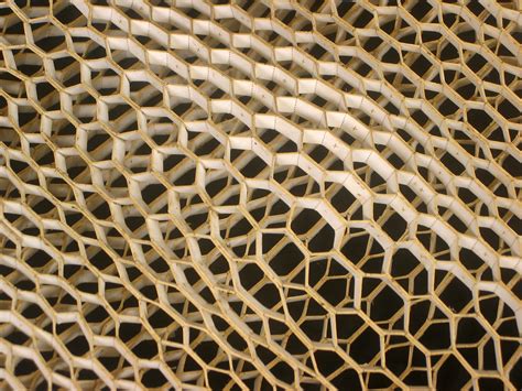 Honeycomb Morphologies On Behance