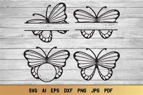 352 Butterfly Name Svg SVG File 209Mb