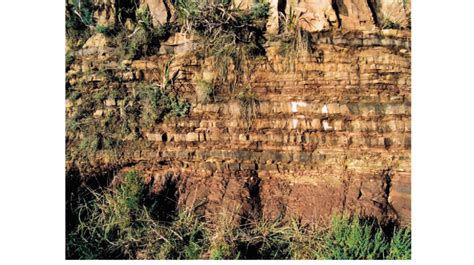 3 Sedimentary Rocks Of The Graafwater Formation Note The Reddish Brown