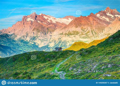 Splendid Summer Alpine Landscape With Old Wooden Hut Grindelwald
