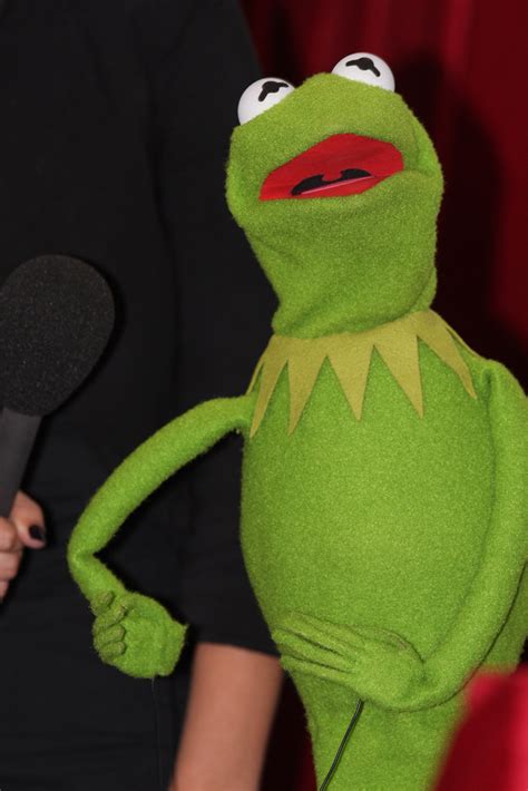 Kermit The Frog The Muppets Australian Premiere To Be Hos Flickr