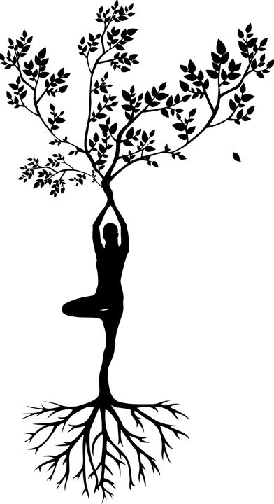 Jóga Strom Žena Vektorová Grafika Zdarma Na Pixabay