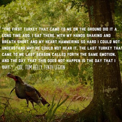 Der wettanbieter bet365 bietet bei den italien türkei wettquoten für den sieg der italiener eine quote von 1.50. Wild Turkey Report (@wildturkeyreport) • Instagram photos ...