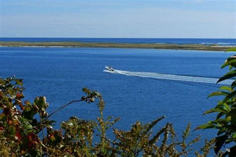 Monomoy National Wildlife Refuge Chatham All You Need To Know