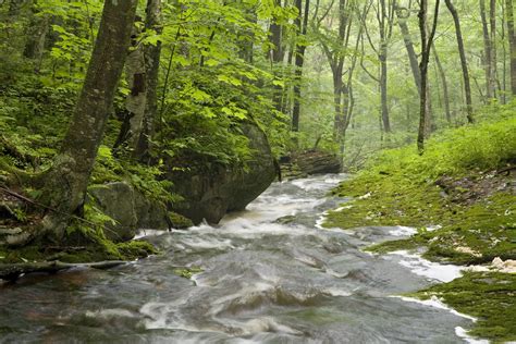 Appalachian Stream Classification
