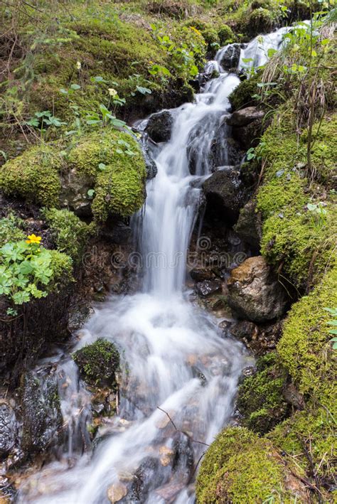 Water Cascade In Forest Stock Image Image Of Great Fatra 73735165