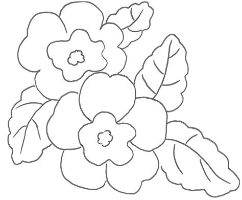 Disegni di fiori semplici per i bambini e immagini di fiori stilizzati da colorare per gli adulti. Cerchi disegni di fiori? Ecco qui primule, bucaneve, viole ...