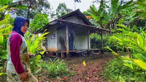 Suasana Damai Di Desa Aktivitas Pagi Di Kampung Terpencil Lereng