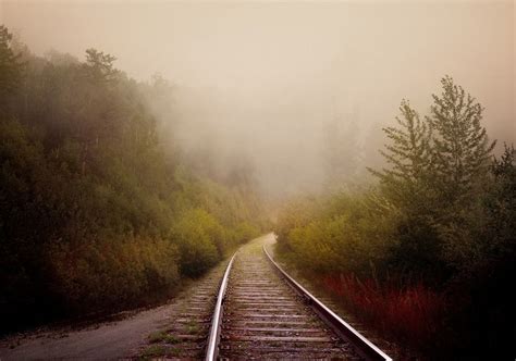 Free Image On Pixabay Road Rail Forest Mist Old Fog Photography