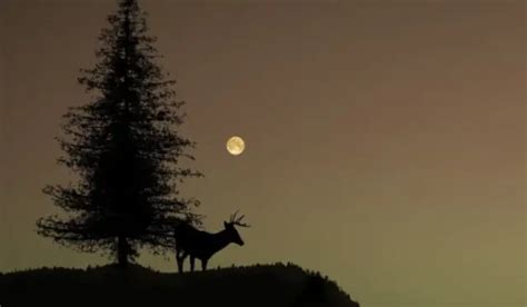 Best Moon Phase For Deer Hunting Top Tips For Success