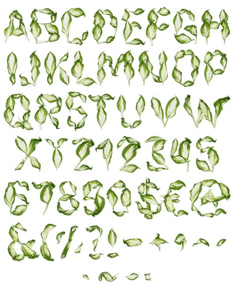 Buy Pipal Leaves Font To Find Inspiration In Nature