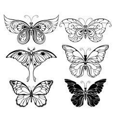 butterflies vector art page    butterflies vector butterfly