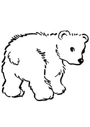 Ausmalbild Süsser Babybär zum kostenlosen Ausdrucken und Ausmalen. #
