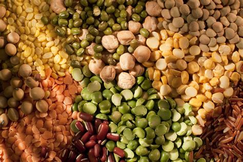 Search the oregonian's recipe archives Low-Carb Diets: Beans and Other Nutritious Legumes