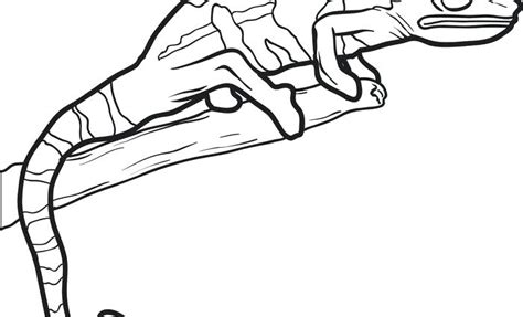 Showing 12 coloring pages related to spiderman lizard. Spider Man Line Drawing at GetDrawings | Free download