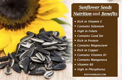 Sunflower Seeds Benefits For Brain Tabitomo