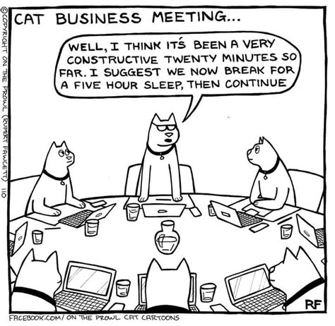 Pin By Brett Botbyl On On The Prowl Cat Cartoons And Other Artists Cat Memes Cat Jokes