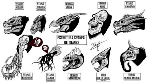 Someone saying something funny on twitter/tumblr/reddit/etc. Estrutura Craneal de Titanes in 2020 | All godzilla monsters, Kaiju art, Kaiju monsters