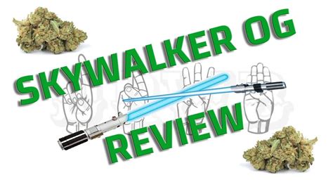 Skywalker Og Strain Dope Review Youtube