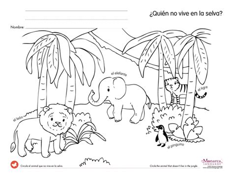 Jungle Animals 4s Printables