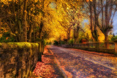 Autumn In Lenzie 4k Ultra Hd Wallpaper Background Image 6000x4000