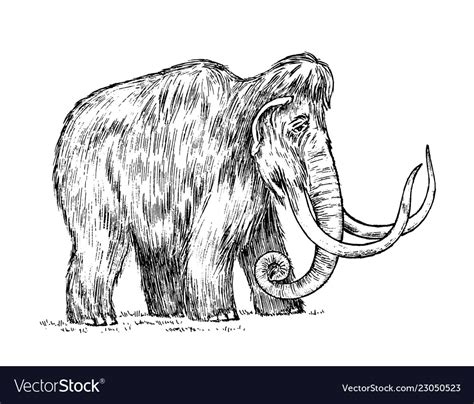 Big Mammoth Extinct Animal Ancestors Of Royalty Free Vector