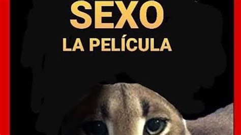 Sexo La Película Sex The Movie Know Your Meme