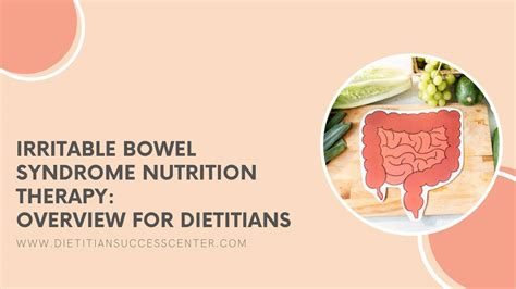 Irritable Bowel Syndrome Nutrition Therapy Overview For Dietitians