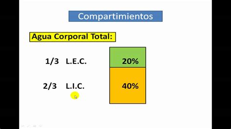 Metabolismo Del Agua Parte No 1 Youtube