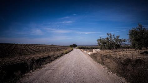 Caminos Rurales Andalucía Film Commission