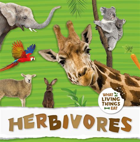 What Living Things Eat Herbivores Childrens Books Booklife