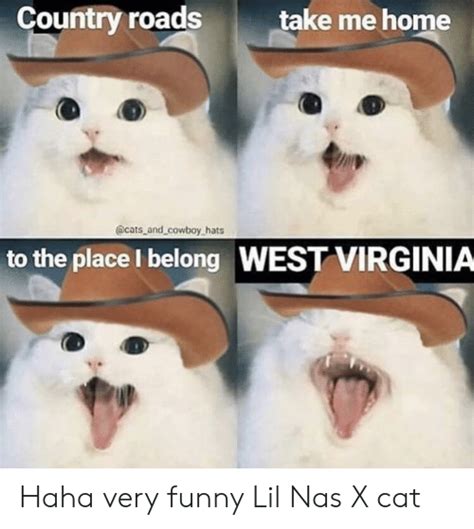 Cat Cowboy Hat Meme West Virginia Giant Image Management Diary Of