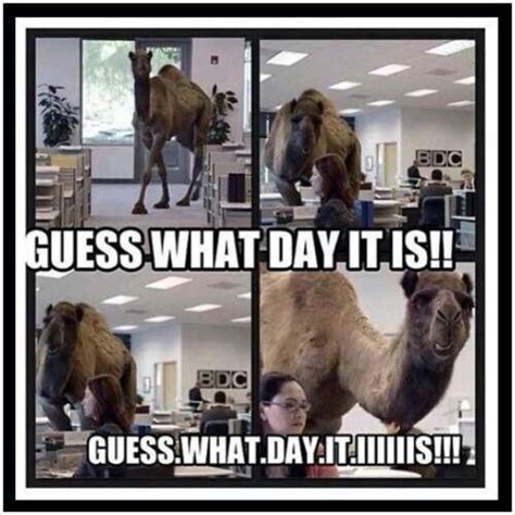 Guess What Day It Is Pictures Photos And Images For