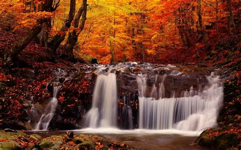 1920x1200 Horse Fall Waterfall Wallpaper Coolwallpapersme