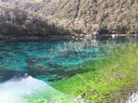 Blue Lake Nelson Clearest Lake In The World Helicopter Flights