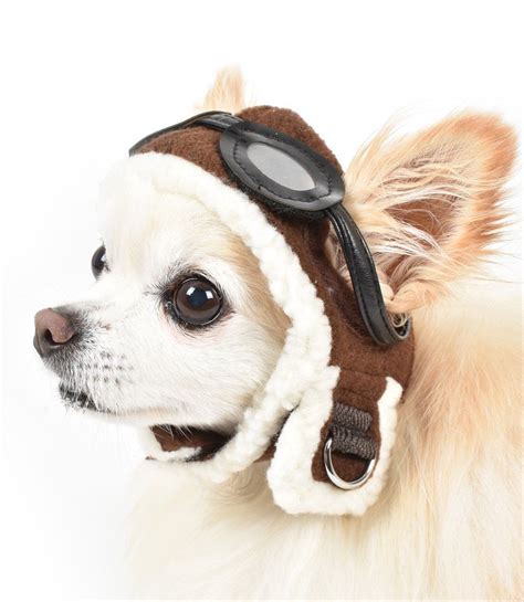 Aviator Hat By Dogo Pet Aviator Hat Dog Parade Pet Halloween Costumes